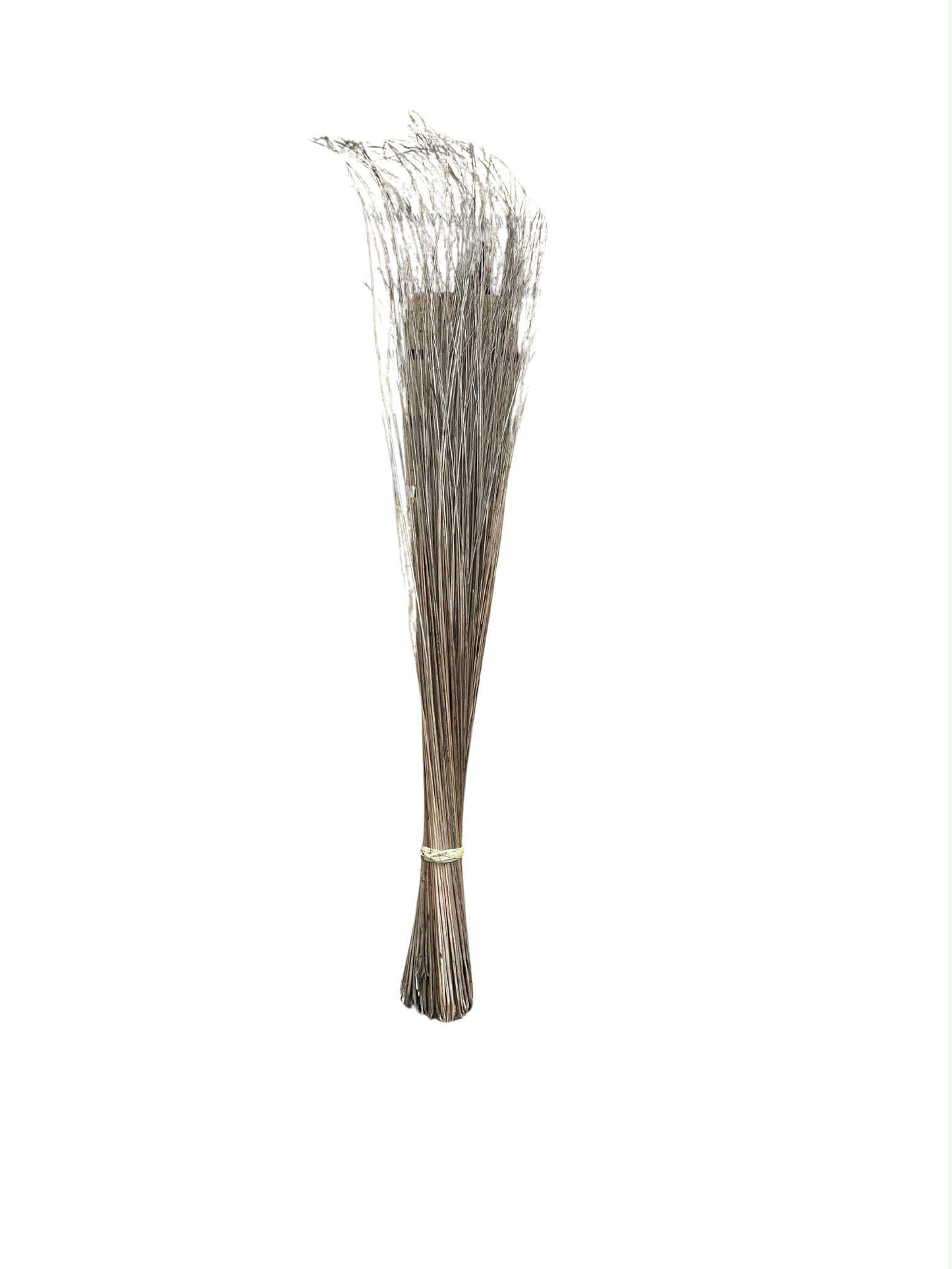 Broom (Walis Tingting)