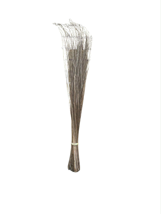 Broom (Walis Tingting)